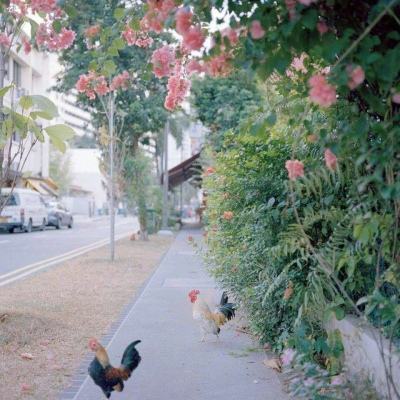 威尼斯欢乐娱人棋牌下载手机版截图